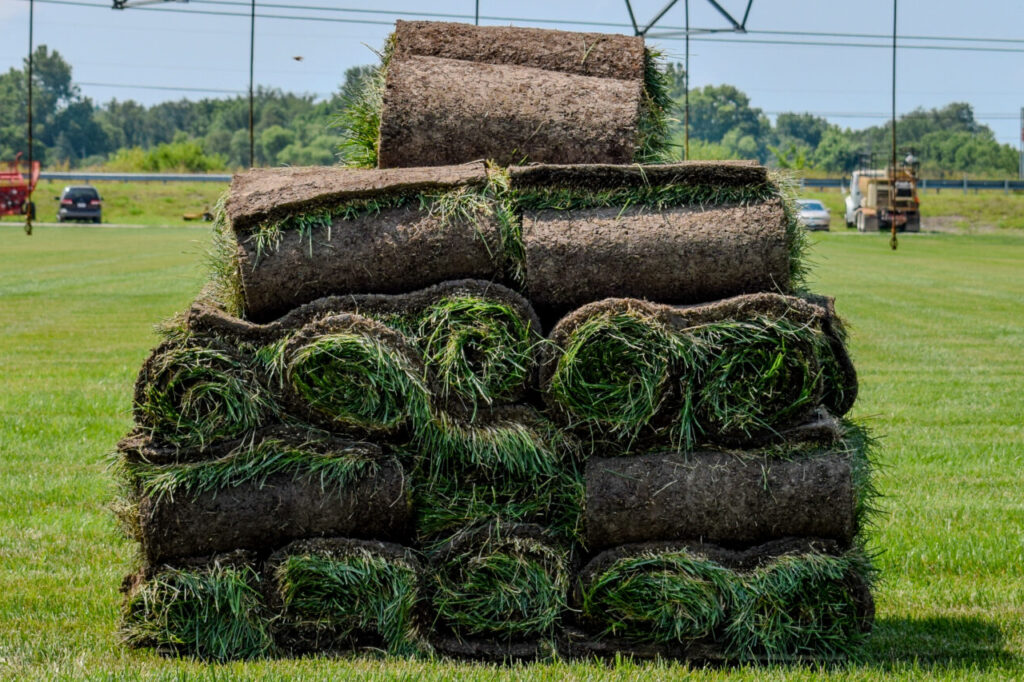 Homeowner Sod