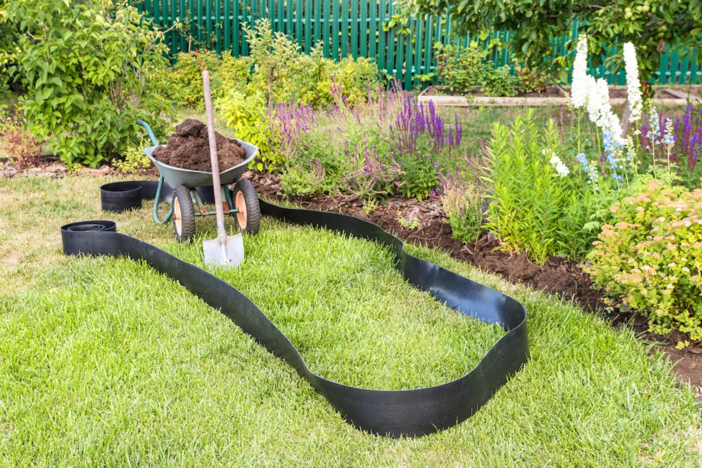 Springtime Lawn Care Tips and Tricks for a Lush Green Yard